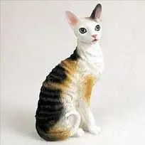 Cornishrex